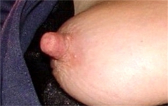 chrudon