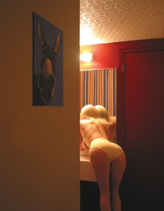 janine 2013