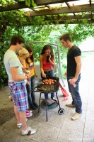 Violla, Rosa, Laska, Gregor, Filimon
