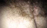 Hairy pussy