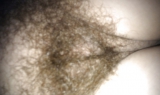 Hairy pussy