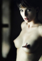 Belles - 2
