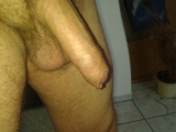 Schwanz
