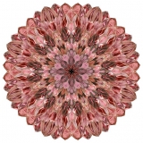 ART 6