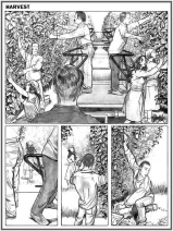 Hot comics 1