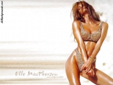 CELEBRITY SUPERMODEL ELLE MACPHERSON