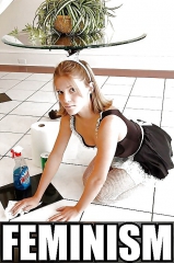 Gorgeous Big-Titted Brainless Bimbos, ugly feminist skanks