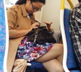 Candid Street Pantyhose -Tights #015 - Asian on the Train