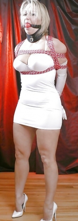 Bound Sluts Slut Training Wife 3