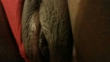 Hmmmm..My Pussy