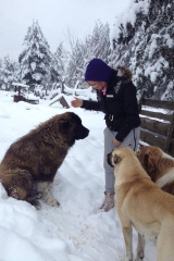 guesss who 525f-550f