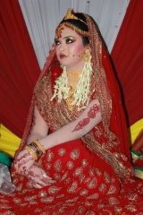 Wahida ali wana