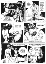 COMICS - SUPERHEROINES