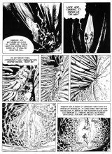 COMICS - SUPERHEROINES