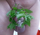 self cock torture