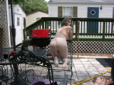 Nudism