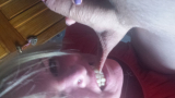 Blonde slut deapthroats cock