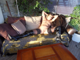 Lisasparrow my open pussy