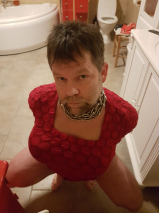 Viking slave