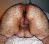 anal hole