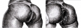 anal hole