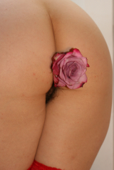 My Flower. ( Sarahporn69 )