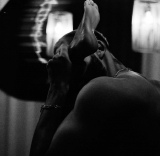 Eroticism of love and sex