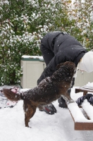 So winter has arrived,