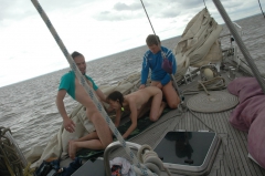Renting a yacht appeared - N