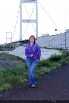 A suspension bridge - N