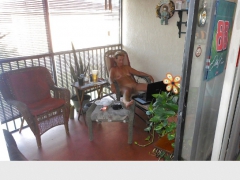 Sexy Cyber-Babe Lisa on the Balcony 3! - N