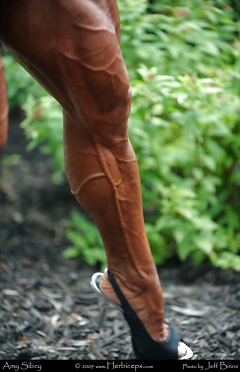 Veiny Misc - N