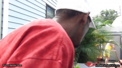 Backyard Cougar Tracy Licks Gets Tamed By the Bandit!! - N