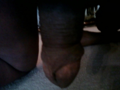 Gervis - N