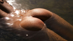 Beautiful Erotic Girls - N