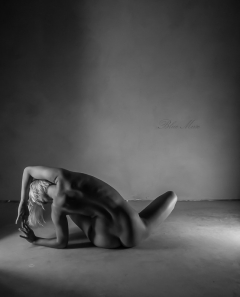 Open Art Glare - N