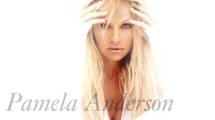Blonde Big-tits Playboy Celebrity Model Pamela Anderson - N