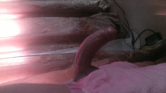 paisita 18cm - N