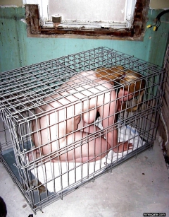 Amateur Slaves locked up in cages - N