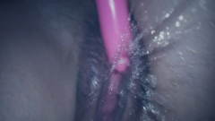 Latina Wife - N
