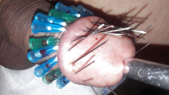 brutal pain cbt insertion bdsm - N