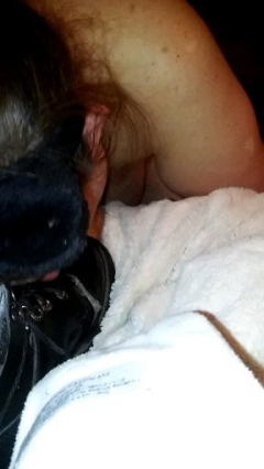 Daddy's pet slave - N
