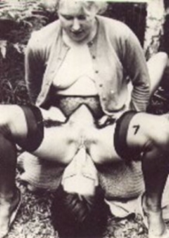 Antique Boiling Chicks - N