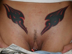 Pussy Decoration - N
