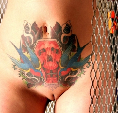 Pussy Decoration - N