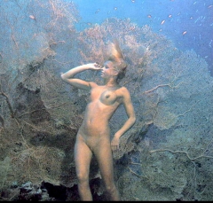 Underwater Nimph II - N