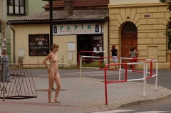 Public Nude 2 - N
