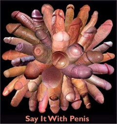 Fun Fear and Females 9 - N