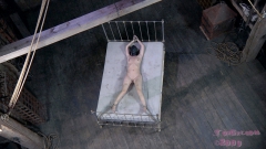 Rud's Bed Slave 3 - N