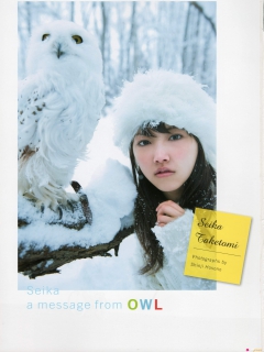 Message From a Owl - N